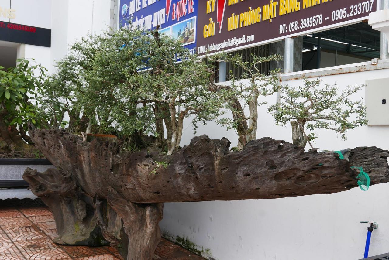 Allure Hotel Thuy Trieu Exterior photo